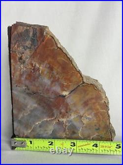 Petrified Wood Book Ends 6LBS 10.5 OZ In Great Shape