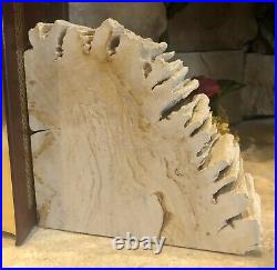 Petrified Wood Book Ends Light colored Rough Edges Collectible Book holders