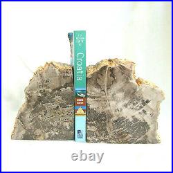Petrified Wood Bookend Set Extra Large Polished Fossil Section 3670g 26cm