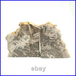 Petrified Wood Bookend Set Extra Large Polished Fossil Section 3670g 26cm