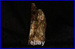 Petrified Wood Bookend Stand Alone Display
