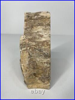 Petrified Wood Bookends Arizona Tan Black Ea 5 1/4 H X 5 W (6.27 LBS)