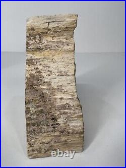 Petrified Wood Bookends Arizona Tan Black Ea 5 1/4 H X 5 W (6.27 LBS)