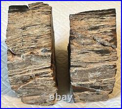 Petrified Wood Bookends Black Grey Red Polished Raw Edges 9 Lbs GUC