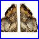 Petrified_Wood_Bookends_Large_Cedar_from_Ginkgo_Petrified_Forest_Pair_9_x_6_x_2_01_ud