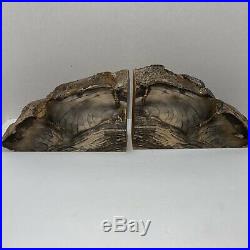 Petrified Wood Bookends Large Cedar from Ginkgo Petrified Forest Pair 9 x 6 x 2