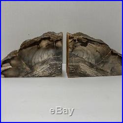Petrified Wood Bookends Large Cedar from Ginkgo Petrified Forest Pair 9 x 6 x 2