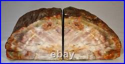 Petrified Wood Bookends PAIR. Polished & Rough Sides. All Natural. 5.5H x 12W