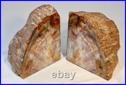 Petrified Wood Bookends PAIR. Polished & Rough Sides. All Natural. 5.5H x 12W