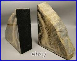 Petrified Wood Bookends Polished Rock 5 inch Fossil Washington #O