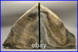 Petrified Wood Bookends Polished Rock 5 inch Fossil Washington #O