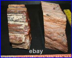 Petrified Wood Bookends Polished Stone