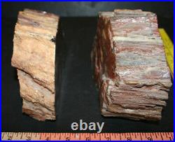 Petrified Wood Bookends Polished Stone