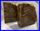 Petrified_Wood_Bookends_polished_with_Felt_bottoms_6x5_1_2x_2_thick_8_2_lbs_01_miou