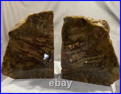 Petrified Wood Bookends polished with Felt bottoms 6x5-1/2x 2 thick -8.2 lbs