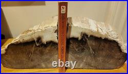 Petrified Wood Bookends, together 10 wide 6 tall 2 thick 8 pounds