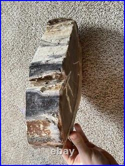 Petrified Wood Bowl, 11 lbs, 13 inches