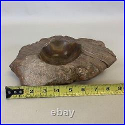 Petrified Wood Bowl Dish Fossil 9 Estate Find