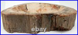 Petrified Wood Bowl Dish Fossil Madagascar 7.25 3 lb. 12.7 oz. A920