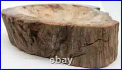 Petrified Wood Bowl Dish Fossil Madagascar 7.25 3 lb. 12.7 oz. A920