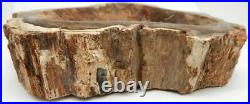 Petrified Wood Bowl Dish Fossil Madagascar 7 3 lb. 12.8 oz. C1206