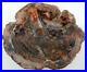 Petrified_Wood_Bowl_Dish_Fossil_Madagascar_8_4_lb_4_oz_A925_01_xqq