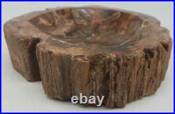 Petrified Wood Bowl Dish Fossil Madagascar 8 4 lb. 4 oz. A925