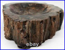 Petrified Wood Bowl Dish Fossil Madagascar 8 5 lb. 1 oz. G920