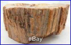 Petrified Wood Bowl Fossil Display or Use Madagascar 9 8 lb. 1 oz. C326
