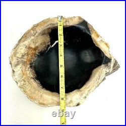 Petrified Wood Bowl Made in Utah 12 lb 5 oz Black Inside 4 Tall Gorgeous Piece