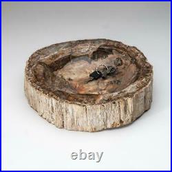 Petrified Wood Bowl from Madagascar (13 lbs)