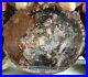 Petrified_Wood_COMPLETE_ROUND_Slab_withBark_Stunning_Colors_30_X_27_X_1_1_4_01_urny