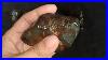 Petrified_Wood_Collections_2024_Small_01_jg