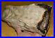 Petrified_Wood_Compressed_Limb_Polished_On_One_End_From_Holley_Wood_Ranch_Oregon_01_hpc