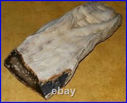 Petrified Wood Compressed Limb Polished On One End From Holley Wood Ranch Oregon