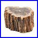 Petrified_Wood_Dark_Brown_Home_Indoor_Decoration_Branches_L_Approx_Ct_5860_01_faox