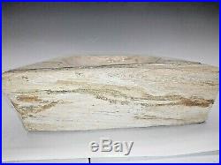 Petrified Wood Dish Bowl Large Polished Fossil 10 pounds 3 ounces