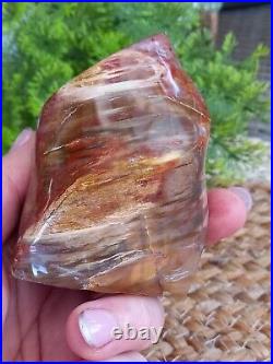 Petrified Wood Flame Fossil Crystal, Gemstone, Mineral, Rock, Gift. Decor 30