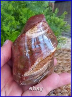 Petrified Wood Flame Fossil Crystal, Gemstone, Mineral, Rock, Gift. Decor 30