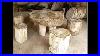 Petrified_Wood_For_Sale_Philippines_Natusok_Na_Kahoy_Petrifiedwood_Phillipines_Furniture_01_wm