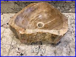 Petrified Wood Fossil Stone Vessel sink