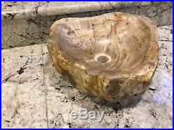 Petrified Wood Fossil Stone Vessel sink