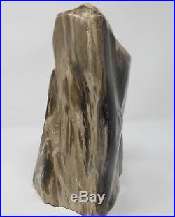 Petrified Wood Fossilised Piece Polished Indonesia 29x16x14 cms 6.7 kilos fossil