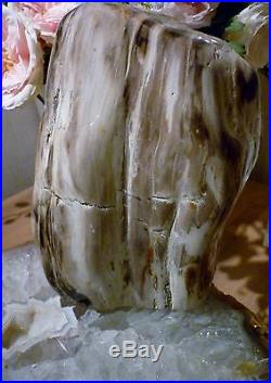 Petrified Wood LARGE Polished Gemstone from Indonesia 19 x 13.5 x 7.5cms 3.176Kg