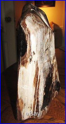 Petrified Wood LARGE Polished Gemstone from Indonesia 21 x 15 x 11cms 3.318Kg