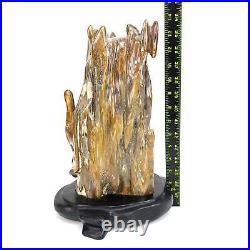 Petrified Wood Large 19 Lbs Rainbow Mineral Specimen Log Carving Fossilized Wood