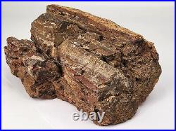 Petrified Wood Large AZ Chinle Fm. Triassic