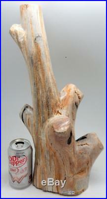 Petrified Wood Large Branch Limb Full Polish 17.25 11 lbs. 15 ozs. C108
