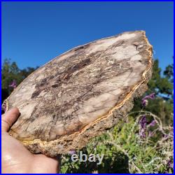 Petrified Wood Large Crystal Slab Slice Display Decor 1740 Grams 3lbs 14oz Petrified Wood Large Crystal Slab Slice Display Decor 1740 Grams 3lbs 14oz