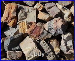 Petrified Wood Large Rough Rocks for Tumbling Bulk Wholesale 1LB options